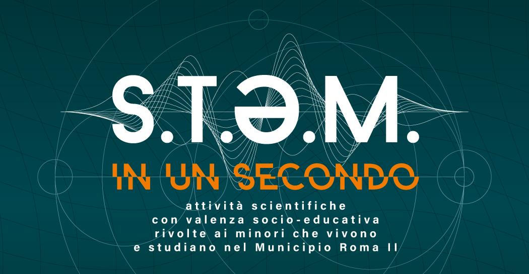 Stem in un secondo: attività presso il Museo Civico di Zoologia