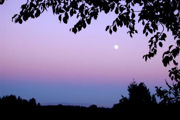 La banda grigia e opaca che si innalza a est mentre il Sole tramonta a ovest è l'ombra della Terra, il cui profilo ricurvo si staglia sull'atmosfera prima che il crepuscolo si spenga